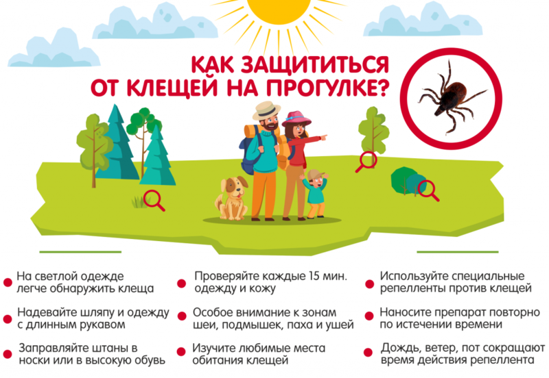 Внимание! Клещевой энцефалит!